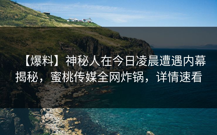 【爆料】神秘人在今日凌晨遭遇内幕揭秘，蜜桃传媒全网炸锅，详情速看