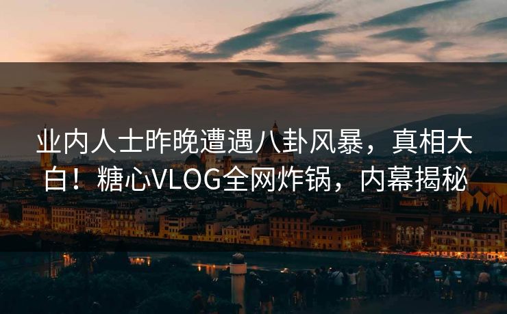 业内人士昨晚遭遇八卦风暴，真相大白！糖心VLOG全网炸锅，内幕揭秘  第1张