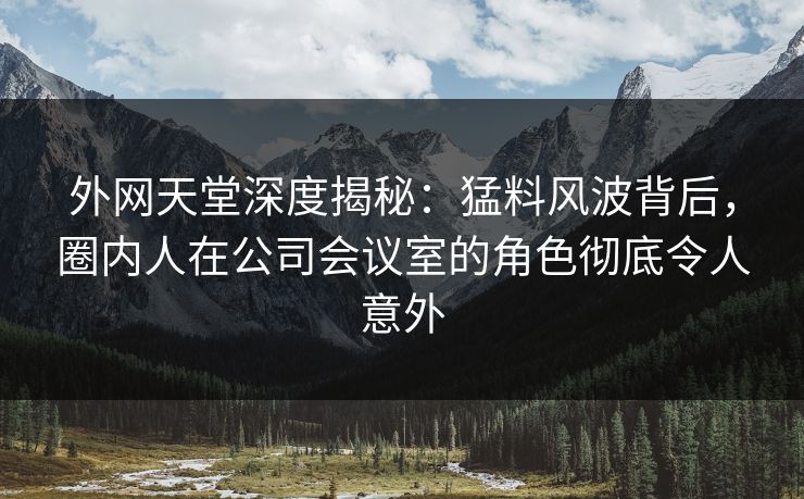 外网天堂深度揭秘：猛料风波背后，圈内人在公司会议室的角色彻底令人意外