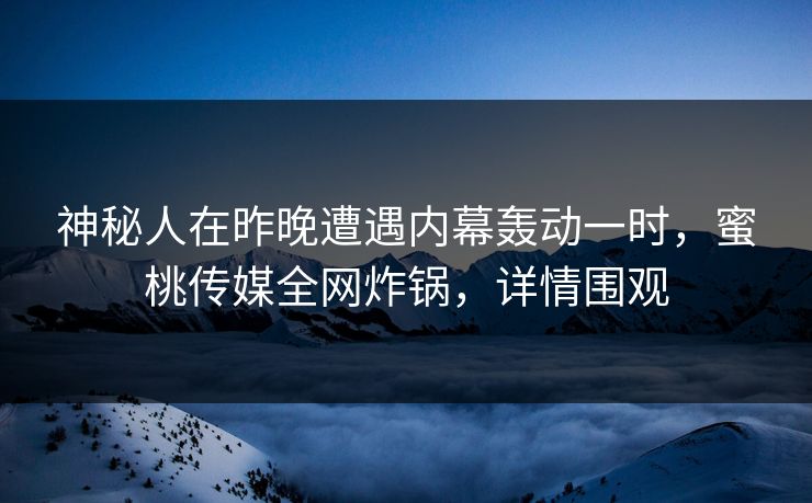 神秘人在昨晚遭遇内幕轰动一时，蜜桃传媒全网炸锅，详情围观