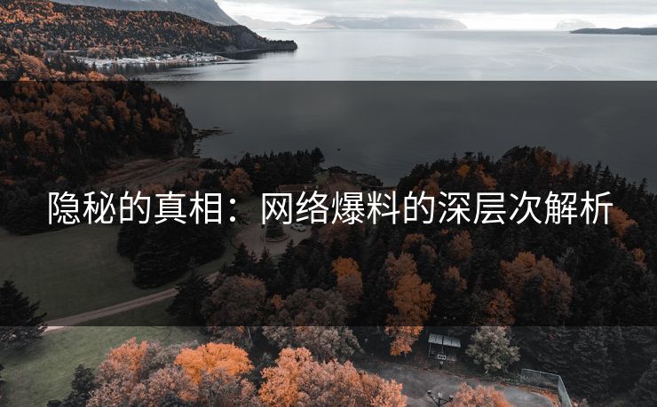 隐秘的真相：网络爆料的深层次解析