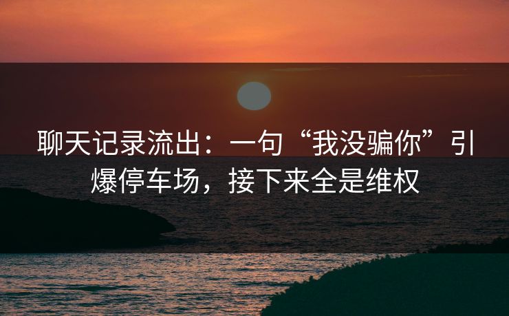 聊天记录流出：一句“我没骗你”引爆停车场，接下来全是维权  第1张